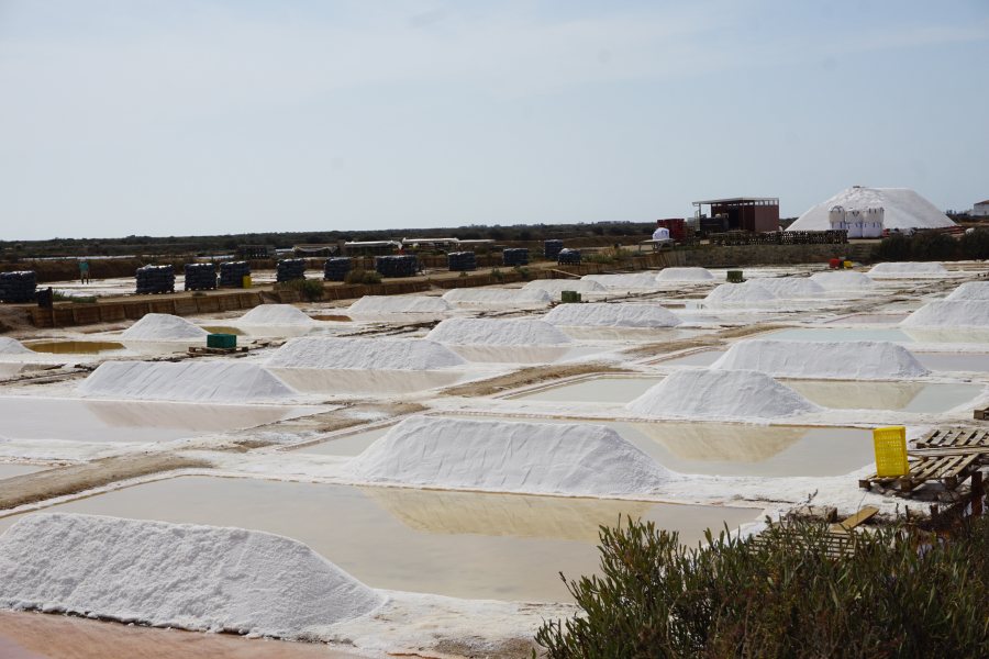 saliny salinas da grelha